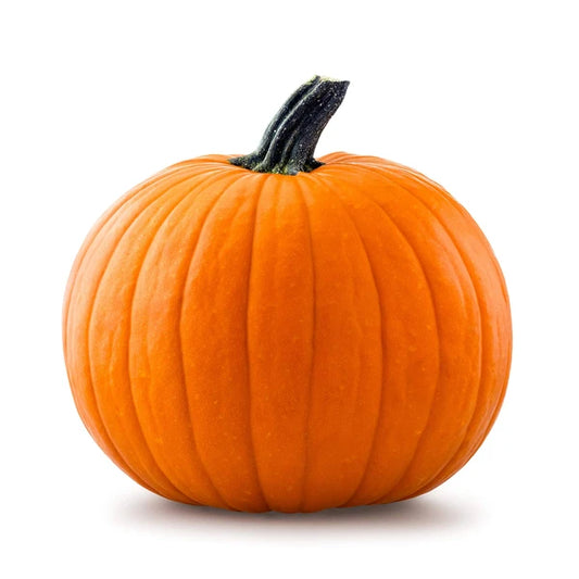 Jack-o'-lantern Pumpkin